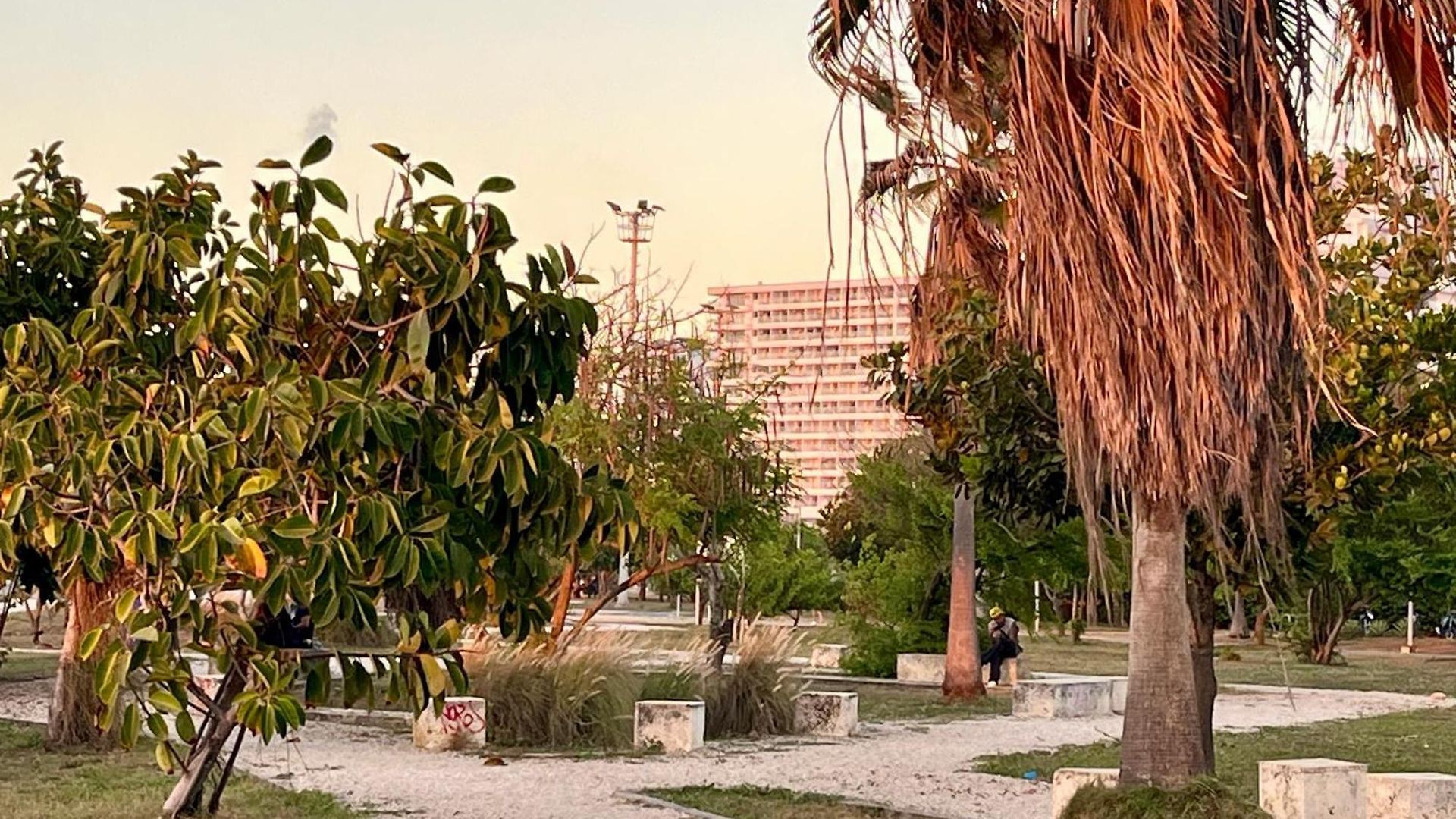 Lovely Steps Away From The Airport And Sea