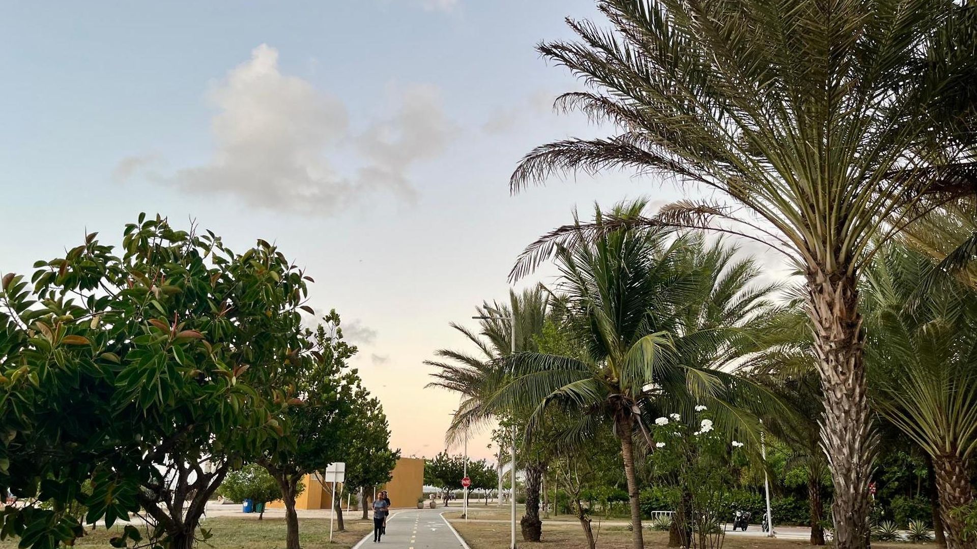 Lovely Steps Away From The Airport And Sea Apartamento *