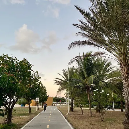 Lovely Steps Away From The Airport And Sea Apartamento *